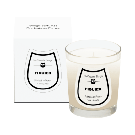 Bougie parfumee figuier 190g verre transparent etui classique